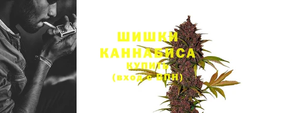 ГАЛЛЮЦИНОГЕННЫЕ ГРИБЫ Магадан