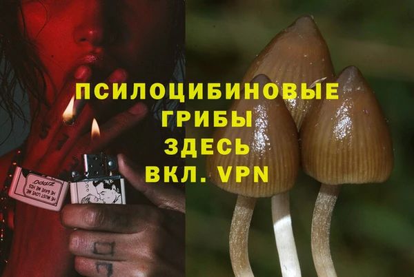ГАЛЛЮЦИНОГЕННЫЕ ГРИБЫ Магадан