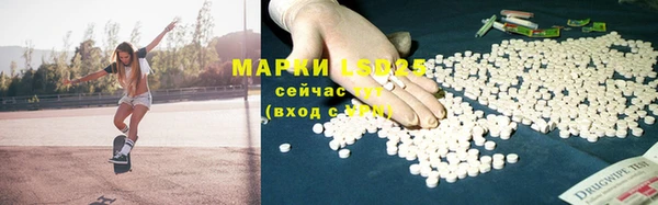 ГАЛЛЮЦИНОГЕННЫЕ ГРИБЫ Магадан