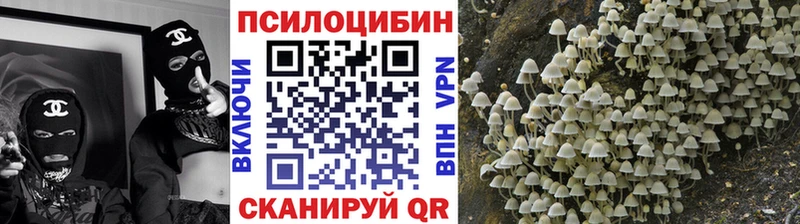 Галлюциногенные грибы GOLDEN TEACHER  как найти   Кириллов 